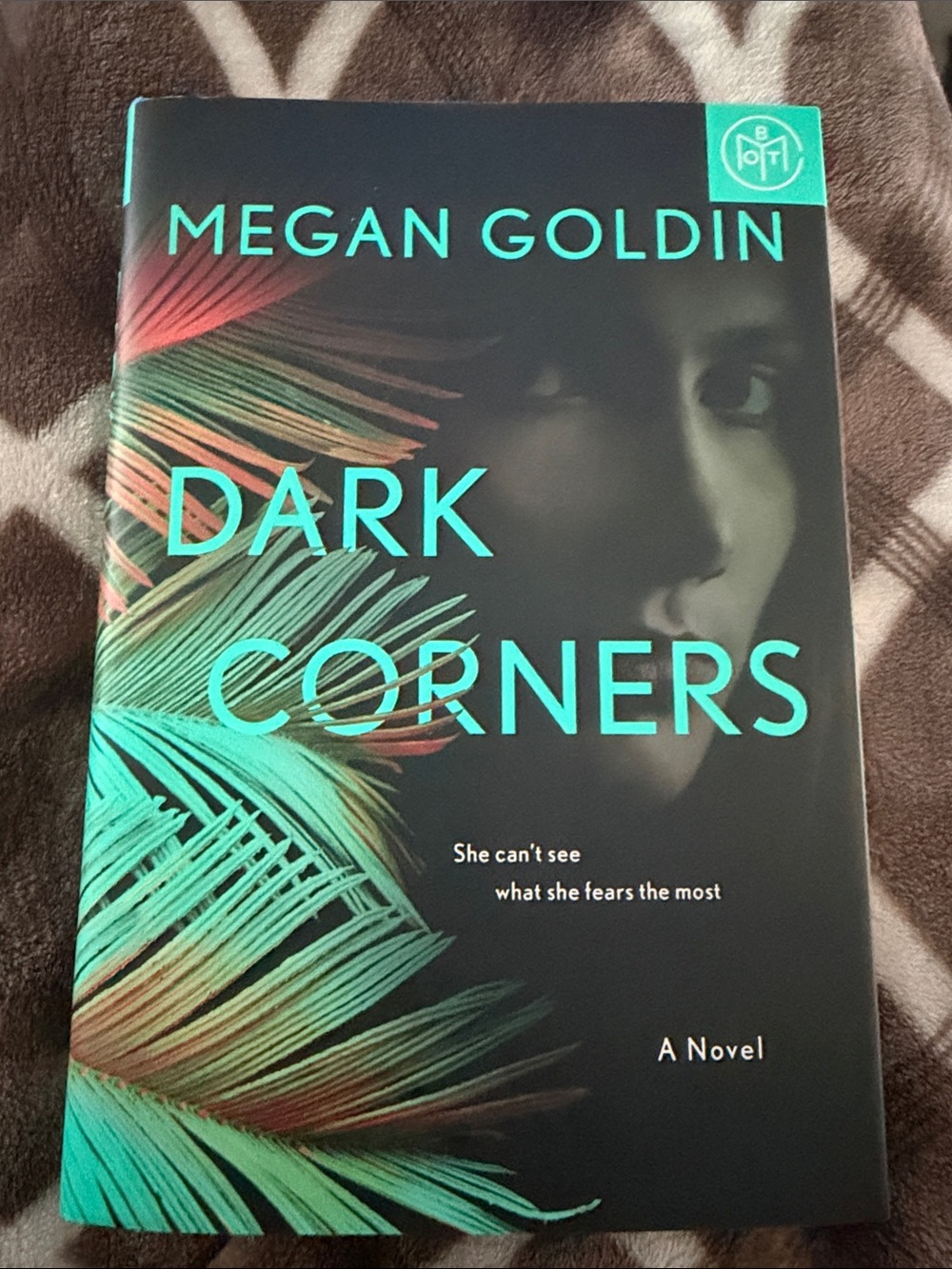 Dark Corners by Megan Goldin